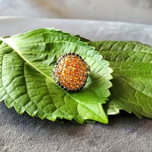 Shiloh • Sapphire & Spinel Cocktail Ring